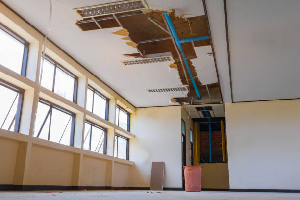 Best Water damage restoration services  in Libertyvle, IL