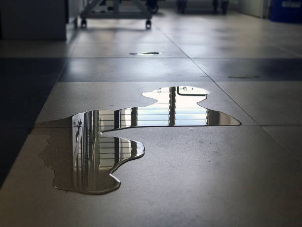 Trusted Libertyville, IL Water damage restoration Experts