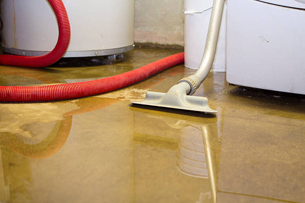 Best Ceiling water damage repair  in Libertyvle, IL