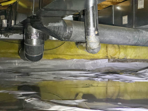 Best Flood damage cleanup  in Libertyvle, IL