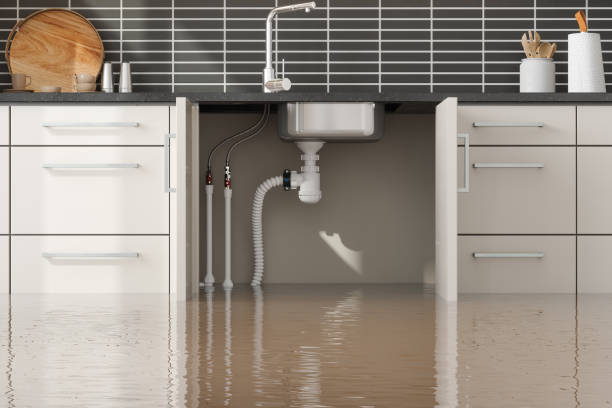 Best Emergency water damage restoration  in Libertyvle, IL