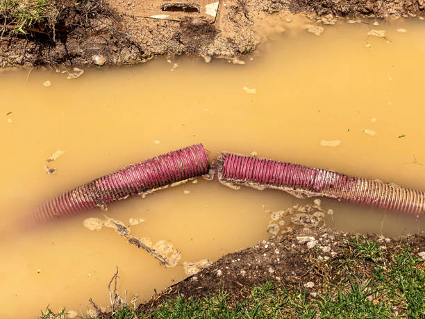 Best Water damage contractors near me  in Libertyvle, IL